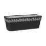 Self-watering planter Stefanplast Gaia Anthracite Plastic 49,5 x 17 x 19 cm (12 Units) by Stefanplast, Window Boxes - Ref: S3...