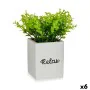 Planta Decorativa Hojas Pequeña Plástico Cemento 13 x 18 x 13 cm (6 Unidades) de Ibergarden, Plantas - Ref: S3626266, Precio:...