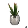 Pianta Decorativa Cactus Ceramica Plastica 10 x 20 x 10 cm (6 Unità) di Ibergarden, Piante artificiali - Rif: S3626268, Prezz...