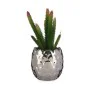 Decorative Plant Cactus Ceramic Plastic 10 x 20 x 10 cm (6 Units) by Ibergarden, Artificial Plants - Ref: S3626268, Price: 45...