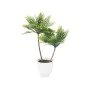 Plante décorative Palmier Plastique 36 x 55,5 x 24 cm (6 Unités) de Ibergarden, Plantes artificielles - Réf : S3627922, Prix ...