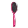 Cepillo Fucsia Silicona Plástico (24 Unidades) de Berilo, Cepillos para el pelo - Ref: S3628859, Precio: 39,34 €, Descuento: %