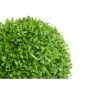 Planta Decorativa Folhas Bol Plástico 27 x 27 x 27 cm (6 Unidades) de Ibergarden, Plantas - Ref: S3629063, Preço: 52,65 €, De...