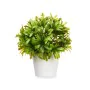 Planta Decorativa Plástico 17 x 17 cm (6 Unidades) de Ibergarden, Plantas - Ref: S3629633, Precio: 22,97 €, Descuento: %