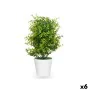 Planta Decorativa Plástico Grande (6 Unidades) de Ibergarden, Plantas - Ref: S3629639, Precio: 32,95 €, Descuento: %