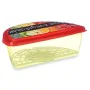 Porta pranzo Frutta e Verdura Multicolore Plastica 23 x 8 x 13 cm (24 Unità) di Leknes, Conservazione di alimenti - Rif: S363...