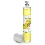 Air Freshener Spray Citronela 100 ml (12 Units) by Ibergarden, Fragrant Room Sprays - Ref: S3630775, Price: 14,29 €, Discount: %