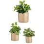 Set de Macetas 3 Piezas Ø 14 cm Ø 22 cm Ø 17 cm Cilindro Beige de Ibergarden, Macetas para flores - Ref: S3630808, Precio: 13...