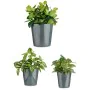 Set of pots Ø 14 cm Ø 22 cm Ø 17 cm Cónica 3 Pieces Anthracite by Ibergarden, Flower Pots - Ref: S3630810, Price: 13,08 €, Di...