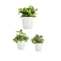 Set de pots Ø 14 cm Ø 22 cm Ø 17 cm Cónica 3 Pièces Blanc de Ibergarden, Pots de fleurs - Réf : S3630811, Prix : 13,62 €, Rem...