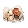 Pot-pourri décoratif Blanc Marron 19 x 40 x 14 cm (8 Unités) de Gift Decor, Objets de décoration - Réf : S3631316, Prix : 50,...