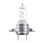 Bombilla para Automóvil Osram 64210NBS H8 35W 12V de Osram, Bombillas - Ref: S3700944, Precio: 27,77 €, Descuento: %