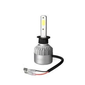 Ampoule pour voiture M-Tech 12 V 55 W H1 de M-Tech, Jeux de pièces et de composants d'éclairage - Réf : S3702506, Prix : 9,96...