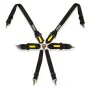 Harness with 6 fastening points Fia Racing OCC Motorsport by OCC Motorsport, Image and sound accessories - Ref: S3711938, Pri...