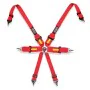 Harness with 6 fastening points Fia Racing OCC Motorsport by OCC Motorsport, Image and sound accessories - Ref: S3711938, Pri...