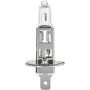 Ampoule Halogène FORMULA 1 SL115 55W 12V de FORMULA 1, Ampoules à incandescence - Réf : S3723083, Prix : 7,61 €, Remise : %