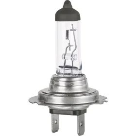 Lampadina per Auto FORMULA 1 12 V 55 W H7 di FORMULA 1, Lampadine - Rif: S3723093, Prezzo: 13,61 €, Sconto: %