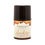 Serum Relajante Anal Adventure 30 ml Intimate Earth 12299 de Intimate Earth, Relajación del esfínter - Ref: S4000700, Precio:...