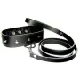 Leather Collar & Leash Set Sportsheets ss432-02 by Sportsheets, Collars - Ref: S4004840, Price: 30,20 €, Discount: %