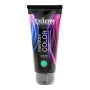 Teinture permanente Fantasy Exitenn Vert (100 ml) de Exitenn, Coloration permanente - Réf : S4241712, Prix : 10,66 €, Remise : %