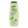 Shampoo Palmer's Olive Oil (400 ml) di Palmer's, Shampoo - Rif: S4242235, Prezzo: 10,10 €, Sconto: %