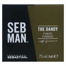 Cera Modeladora Sebman The Dandy Shinny Sebastian (75 ml) de Sebastian, Mástique, argila e cera - Ref: S4247108, Preço: 18,73...