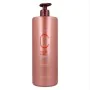 Champô Color Care Risfort 69873 (1000 ml) de Risfort, Champôs - Ref: S4247715, Preço: 9,18 €, Desconto: %