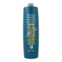 Shampooing Everego Herb-Ego Alterego Énergisant (1 L) de Alterego, Shampooings - Réf : S4249783, Prix : 13,07 €, Remise : %