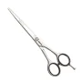 Hair scissors Fama Fabré Jaguar 6,5" by Fama Fabré, Hair scissors - Ref: S4251301, Price: 216,77 €, Discount: %