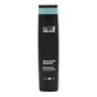 Champô Care Artic Blond Nirvel Care Champú (250 ml) de Nirvel, Champôs - Ref: S4253470, Preço: 7,51 €, Desconto: %