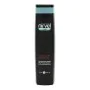 Shampooing Color Care Nirvel (250 ml) de Nirvel, Shampooings et après-shampooings - Réf : S4253473, Prix : 10,03 €, Remise : %