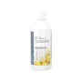 Dissolvant Idema Citron (500 ml) de Idema, Diluants et solvants - Réf : S4254754, Prix : 15,09 €, Remise : %