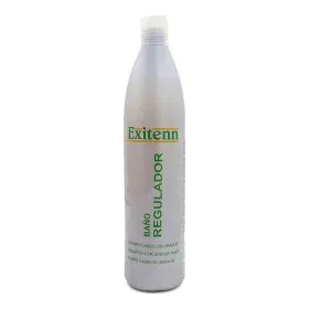 Shampoo Exitenn Fettes Haar von Exitenn, Shampoos - Ref: S4255983, Preis: 15,48 €, Rabatt: %