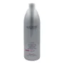 Shampoo Amethyste Color Farmavita by Farmavita, Shampoos - Ref: S4256005, Price: 18,85 €, Discount: %