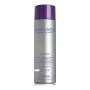 Shampooing pour Cheveux blonds ou gris Amethyste Silver Farmavita de Farmavita, Shampooings - Réf : S4256007, Prix : 17,21 €,...