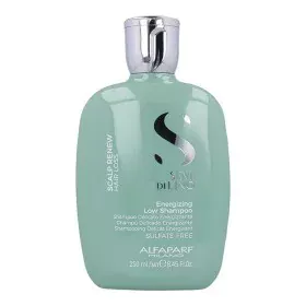 Shampoo Semi di Lino Energizing Alfaparf Milano di Alfaparf Milano, Shampoo - Rif: S4256046, Prezzo: 32,23 €, Sconto: %