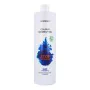 Shampooing Colour Correction Stop Orange Montibello de Montibello, Shampooings - Réf : S4256047, Prix : 21,37 €, Remise : %