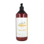 Après-shampoing réparateur Pure Green Pure Green de Pure Green, Après-shampooings - Réf : S4256137, Prix : 17,11 €, Remise : %