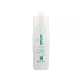 Shampoo Everego EverEgoCurlCareSham33.8/FL di Everego, Shampoo - Rif: S4256841, Prezzo: 20,63 €, Sconto: %