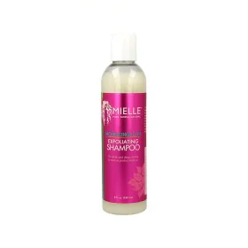 Shampoo Mielle Mongongo Oil Exfoliant (240 ml) by Mielle, Shampoos and conditioners - Ref: S4257959, Price: 15,14 €, Discount: %