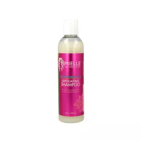 Shampoo Mielle Mongongo Oil Esfoliante (240 ml) di Mielle, Shampoo e balsami - Rif: S4257959, Prezzo: 15,14 €, Sconto: %