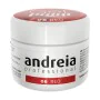 Gel nail polish Andreia Gel Paint 4 ml Red Nº 06 by Andreia, Gel Polish - Ref: S4259444, Price: 12,22 €, Discount: %