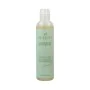 Shampoo Inahsi Soothing Mint Gentle Cleansing von Inahsi, Shampoos - Ref: S4259485, Preis: 15,66 €, Rabatt: %