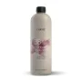 Hair Oxidizer Lakmé Color Developer 38 vol 11,5% by Lakmé, Colour Removers - Ref: S4260102, Price: 8,72 €, Discount: %