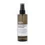 Pré-Champô L'Oreal Professionnel Paris Absolute Repair Molecular 190 ml de L'Oreal Professionnel Paris, Champôs - Ref: S42612...