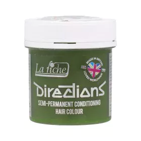 Conditionneur Raviveur de Couleur La Riché Directions Fluorescent 88 ml Coloration Semi-permanente Vert de La Riché, Après-sh...