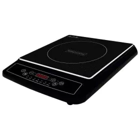 Induction Hot Plate Royalty Line 2000 W by Royalty Line, Hobs - Ref: D0600207, Price: 37,44 €, Discount: %