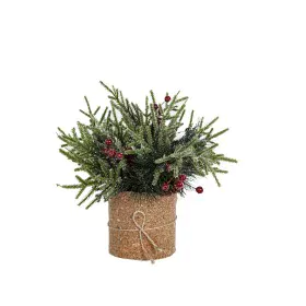 Plante décorative Romimex Vert Beige Gui Sapin 30 x 30 x 30 cm de Romimex, Noël - Réf : D1617636, Prix : 15,80 €, Remise : %