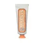 Pasta de Dientes Marvis Ginger Mint (25 ml) de Marvis, Pastas de dientes - Ref: S05106959, Precio: 4,48 €, Descuento: %