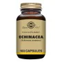 Echinacea Solgar Equinácea (100 Units) by Solgar, Self-tanning - Ref: S05120572, Price: 19,31 €, Discount: %